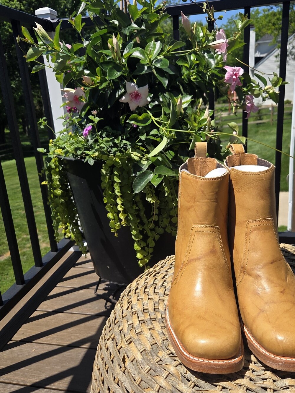 Anthropologie FRYE Campus 14L Women's Boots Leather Tan Banana NEW - Picture 7 of 15